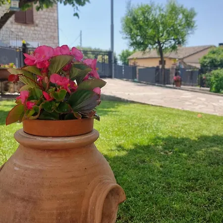 La Casa Dei Fiori