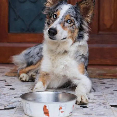 La Casa Dei Fiori בית נופש אסיסי