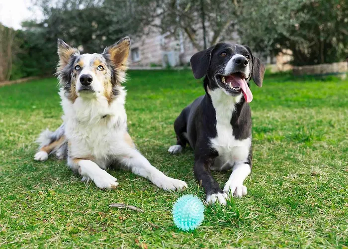 Dom wakacyjny La Casa Dei Fiori Asyż